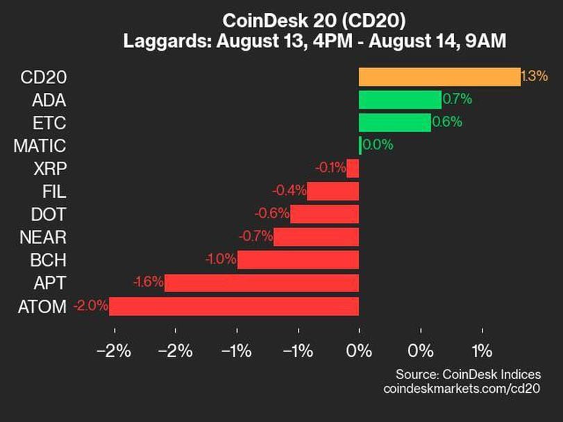 CoinDesk 20 Performance Update: RNDR and SOL Propel Index to a 1.3% Increase