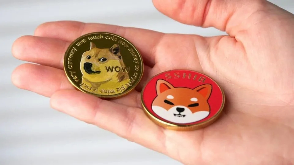 Dogecoin, Shiba Inu Fall As Ethereum Co-founder Vitalik Buterin Donates Over $500K Worth Of Memecoins To Animal Charity