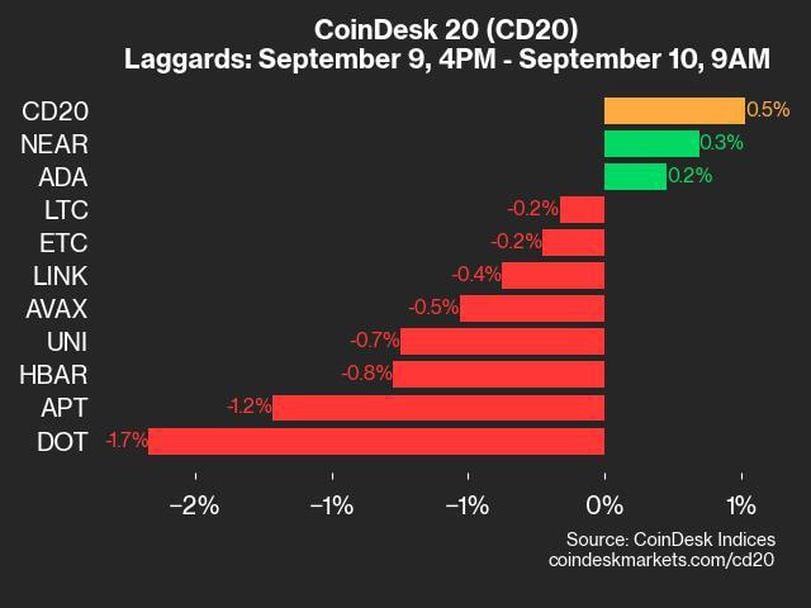 CoinDesk 20 Performance Update: ICP and RNDR Lead as Index Inches up 0.5%