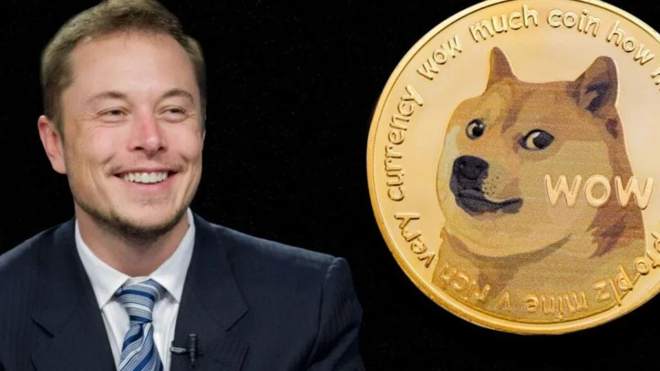 Dogecoin Whales Accumulate Nearly 1 Billion DOGE in Two Days After Elon Musk's Crypto Forecast